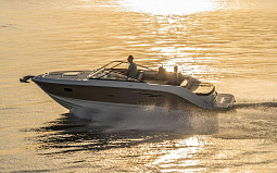Sea Ray 250 Sunsport